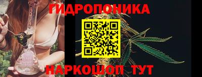 гашик Будённовск