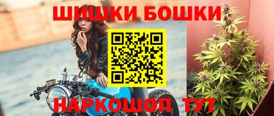 гашик Будённовск