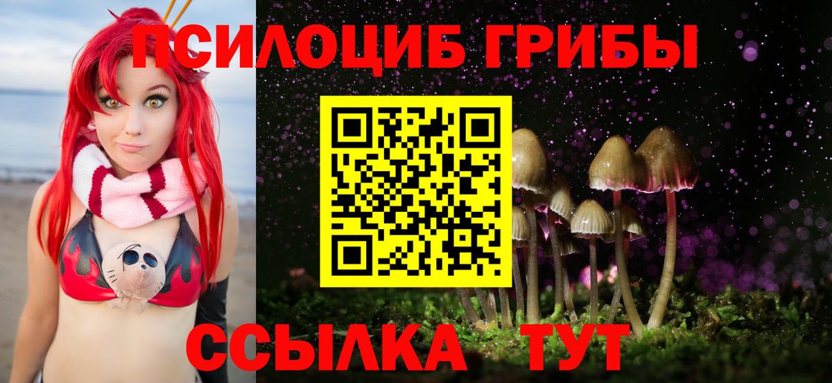 Нефтеюганск  Псилоцибиновые грибы Psilocybine cubensis  Вход с VPN 